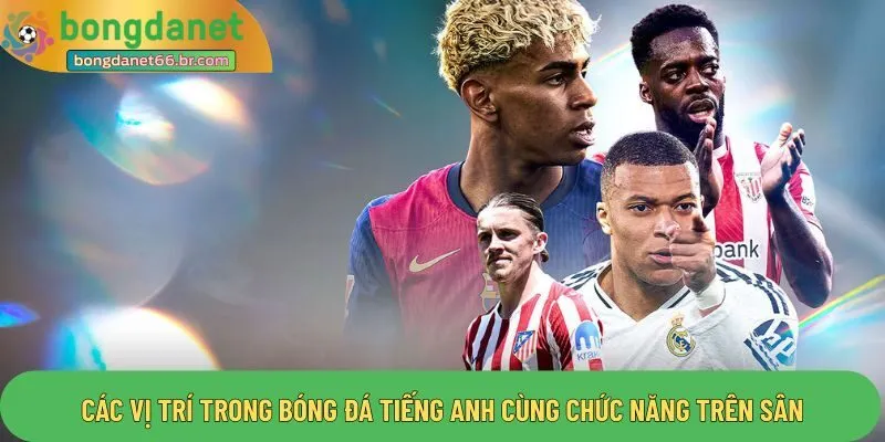 Các vị trí trong bóng đá tiếng anh