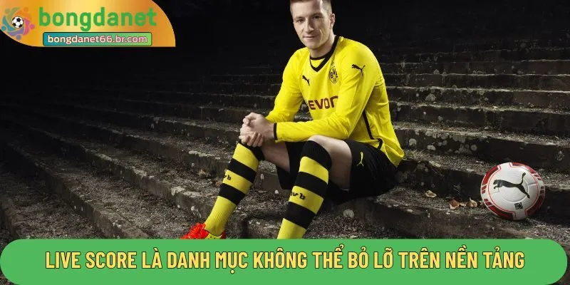 Live score là danh mục không thể bỏ lỡ trên nền tảng