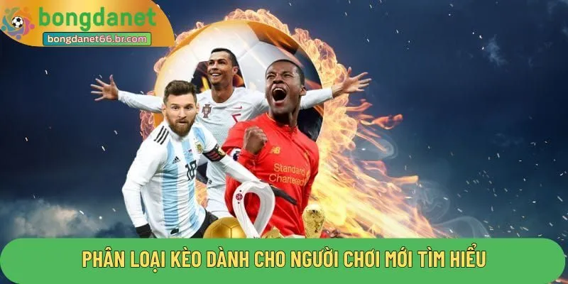 Phân loại kèo dành cho người chơi mới tìm hiểu