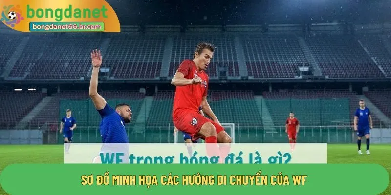 Sơ đồ minh họa các hướng di chuyển của wf 