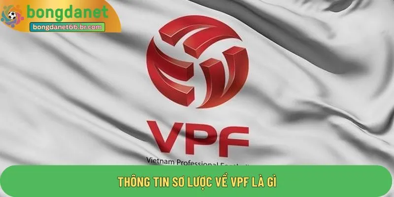 Thông tin sơ lược về VPF là gì