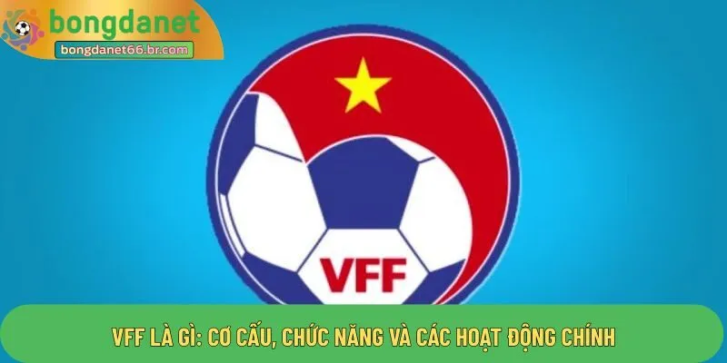 VFF là gì