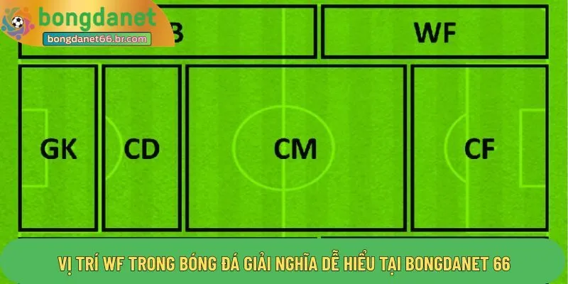 Vị Trí Wf Trong Bóng Đá